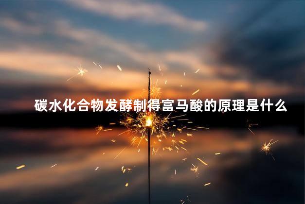 碳水化合物发酵制得富马酸的原理是什么 增肌要吃碳水吗